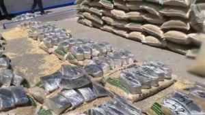 Guardia Nacional de México decomisó 565 kilos de cristal y tres toneladas de marihuana